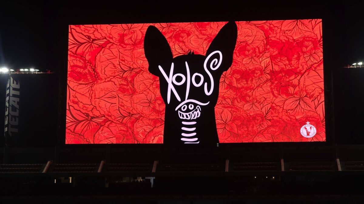 xolos vs puebla jornada 12 2026