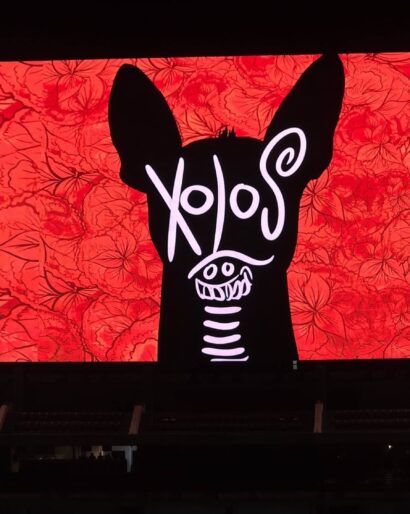 xolos vs puebla jornada 12 2026