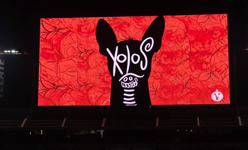 xolos vs puebla jornada 12 2026